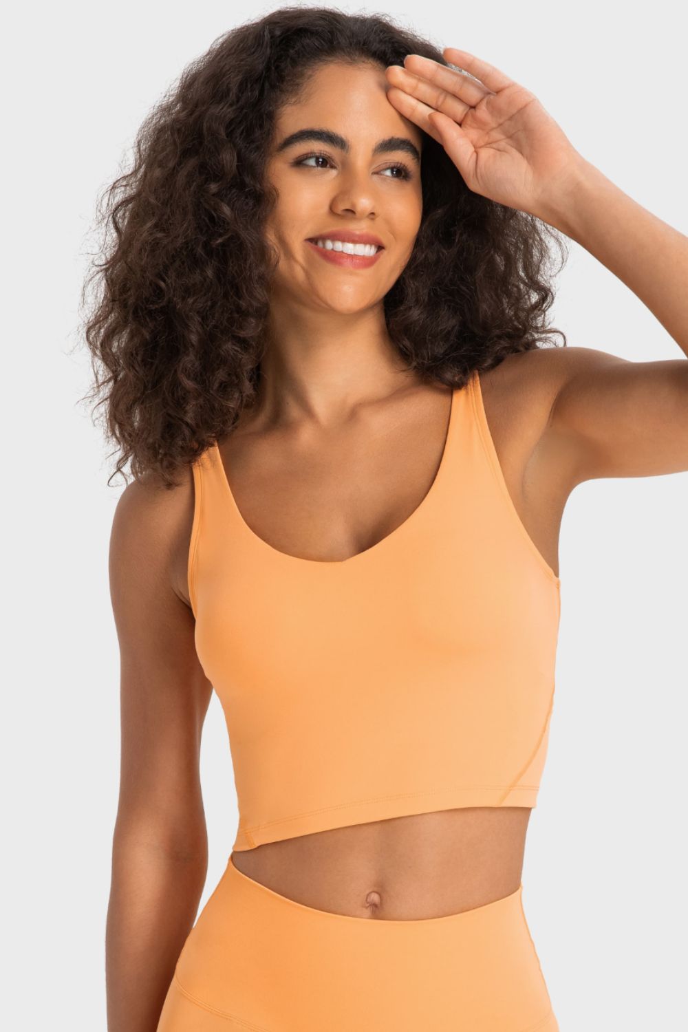 Millennia Deep V-Neck Crop Sports Bra Easy Apparels