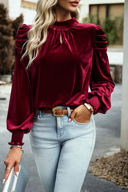 Trendsi Tie Up Mock Neck Velvet Fabric Long Sleeve Blouse