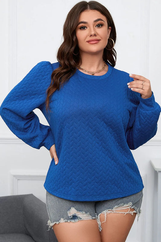 Trendsi Plus Size Textured Round Neck Long Sleeve Top