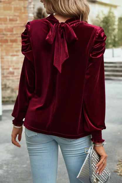 Trendsi Tie Up Mock Neck Velvet Fabric Long Sleeve Blouse