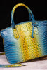 Yellow/Blue
